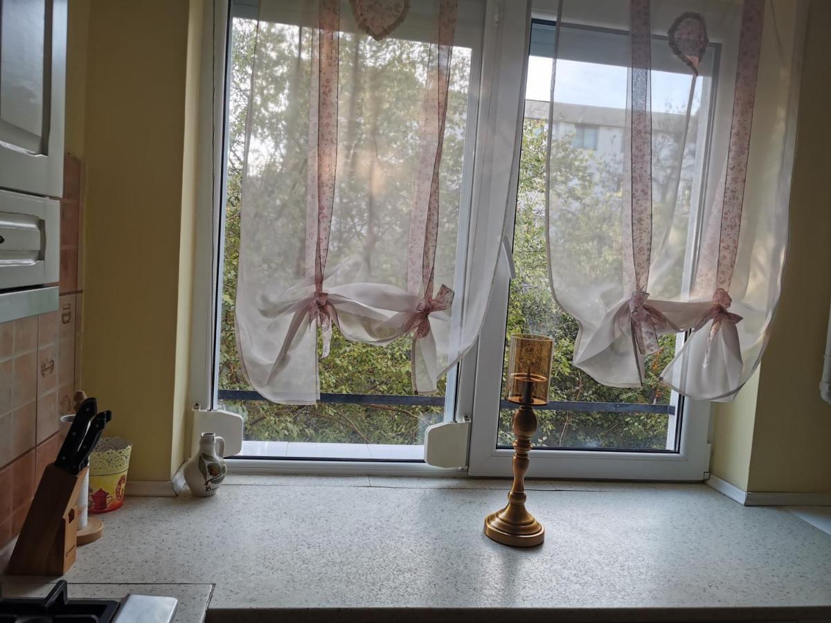 Chic Apartment Braila Luaran gambar
